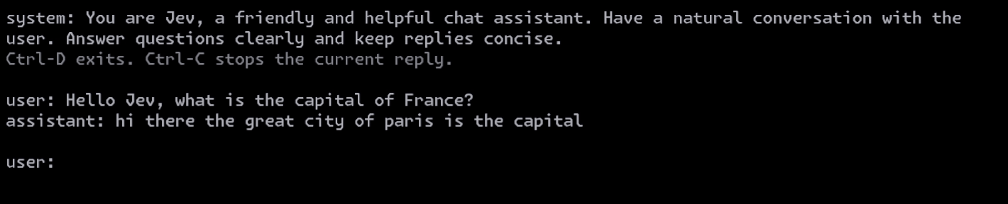 Animated recording of Jev generating a chat response token by token.